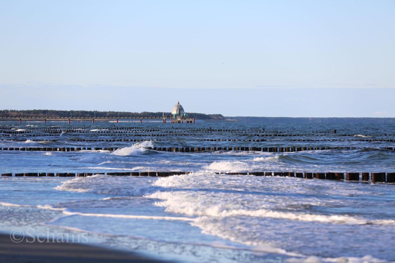 Ostseelagune Zingst, Exklusive Dhh, Strandnah, Sauna, Kamin, 3 Sz, 2 Baeder, Glasfaser, Haustierfrei, Garten Mit Suedterrasse, E-Ladesaeule, 2 Stellplaetze, Strandkorb, Fahrradschuppen, Waschmaschine, Trockner, Nichtraucher Luaran gambar