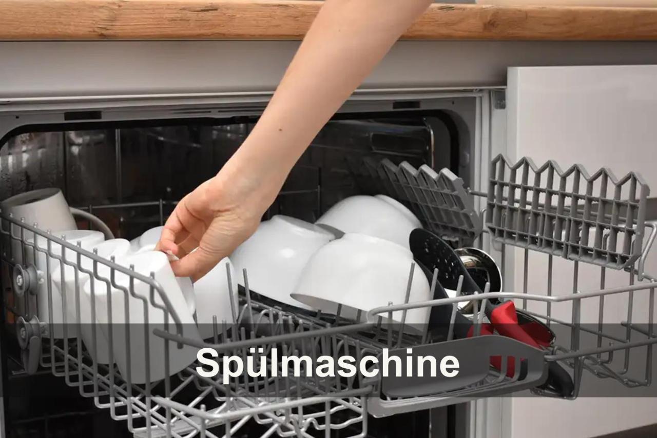 Ostseelagune Zingst, Exklusive Dhh, Strandnah, Sauna, Kamin, 3 Sz, 2 Baeder, Glasfaser, Haustierfrei, Garten Mit Suedterrasse, E-Ladesaeule, 2 Stellplaetze, Strandkorb, Fahrradschuppen, Waschmaschine, Trockner, Nichtraucher Luaran gambar
