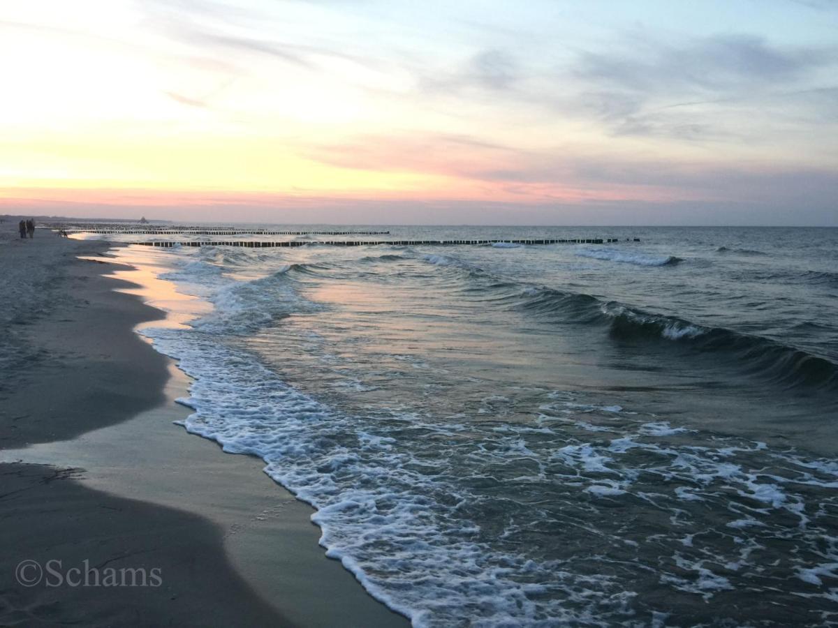 Ostseelagune Zingst, Exklusive Dhh, Strandnah, Sauna, Kamin, 3 Sz, 2 Baeder, Glasfaser, Haustierfrei, Garten Mit Suedterrasse, E-Ladesaeule, 2 Stellplaetze, Strandkorb, Fahrradschuppen, Waschmaschine, Trockner, Nichtraucher Luaran gambar
