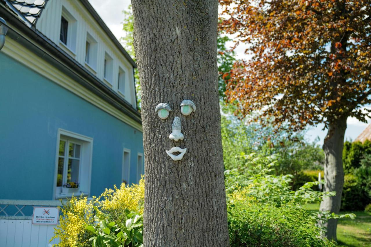 Ostseelagune Zingst, Exklusive Dhh, Strandnah, Sauna, Kamin, 3 Sz, 2 Baeder, Glasfaser, Haustierfrei, Garten Mit Suedterrasse, E-Ladesaeule, 2 Stellplaetze, Strandkorb, Fahrradschuppen, Waschmaschine, Trockner, Nichtraucher Luaran gambar